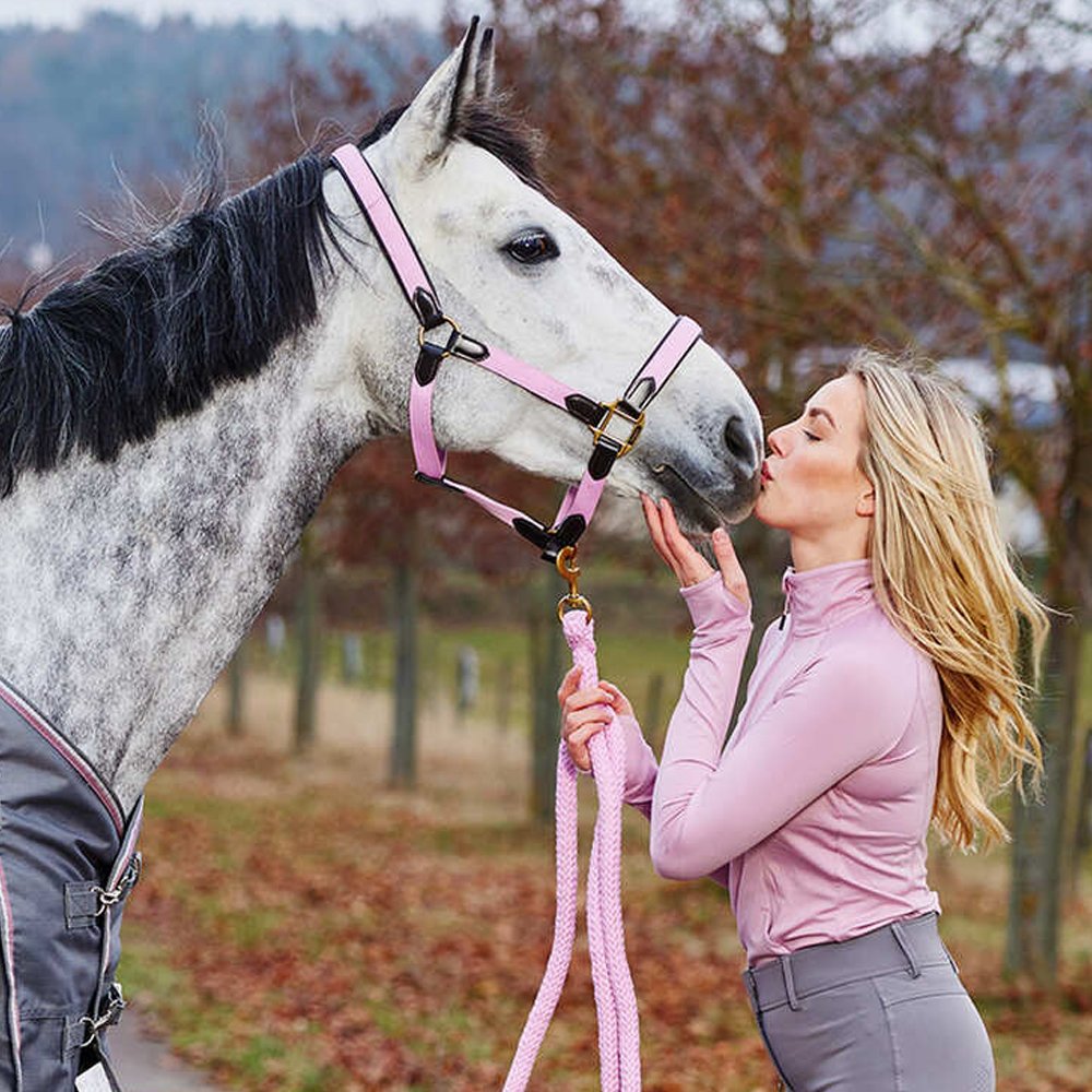 Horse Wear Halters