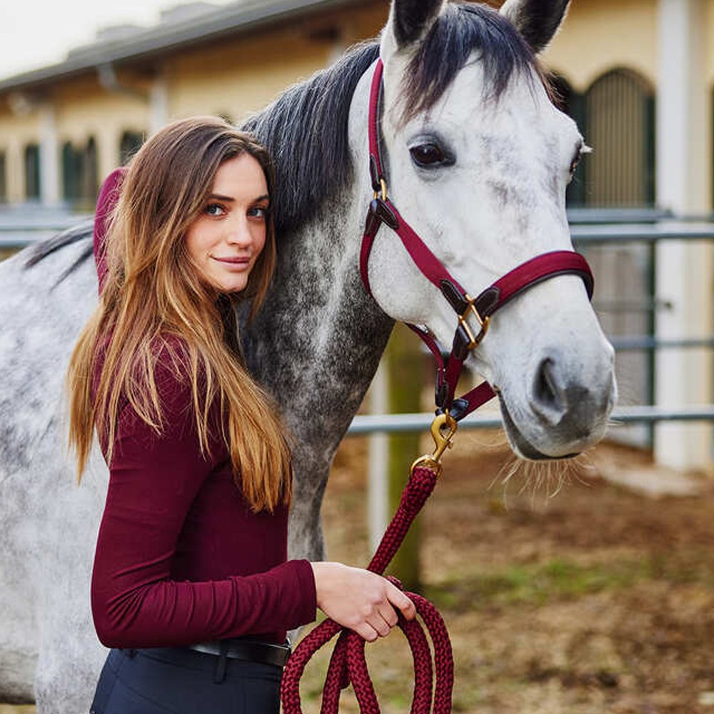 Horse Wear Halters