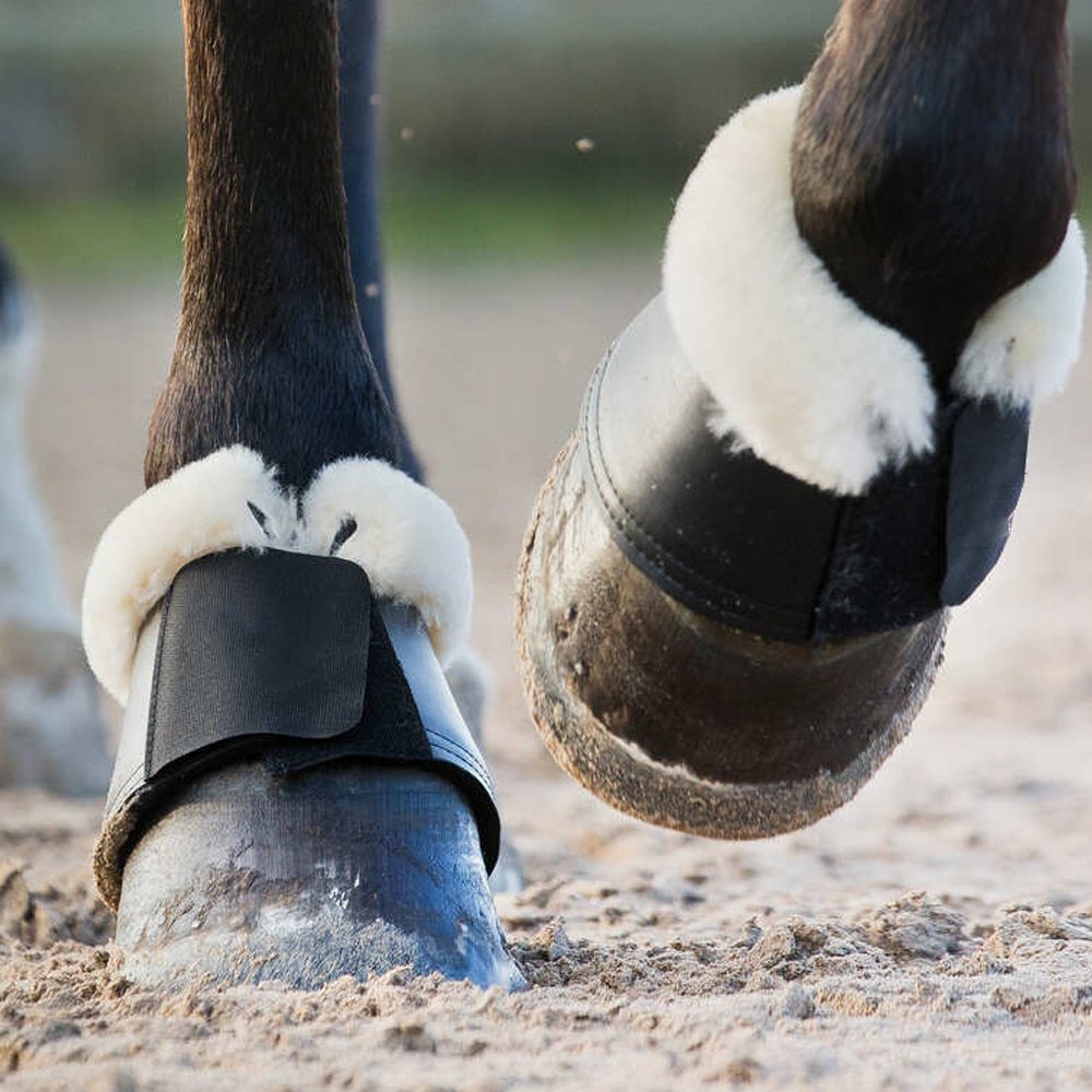 Horse Wear Bell Boots